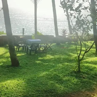 Perch by the sea