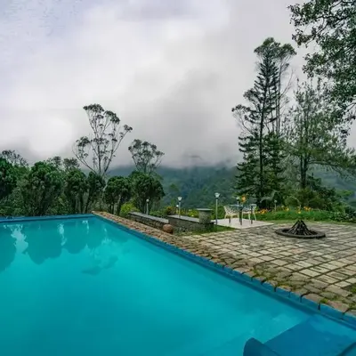 Wild Elephant Resort