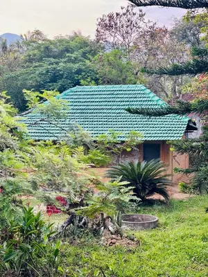 a house with a green roof in a forest at Cure Monastery Family Resort in Marayoor