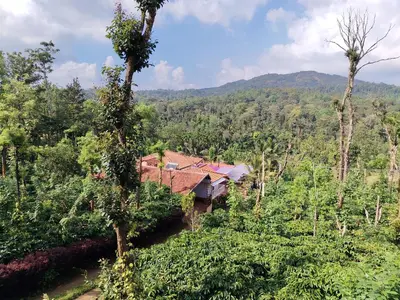 a house in the middle of a forest of trees at Shivalaya Homestay, Madikeri in Siddapur