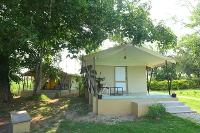 a small white house with a porch under a tree at Fireflies Kabini in Begūr