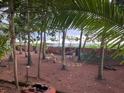 a group of palm trees with a playground in the background at Kizhunna rock beach house in Kannur