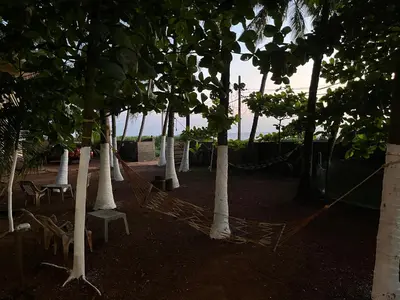 a group of trees with chairs and a net at Kizhunna rock beach house in Kannur