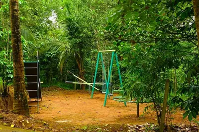 a swing set in the middle of a forest at Shibi's Tea Garden Heritage in Vayittiri