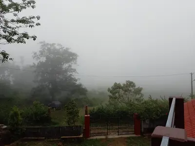 a view of a foggy yard with a fence and trees at Chilly Coorg in Virajpet