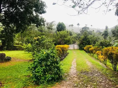 a dirt road through a garden with yellow flowers at Casa Riverdale Farm Stay in Vallikavungal