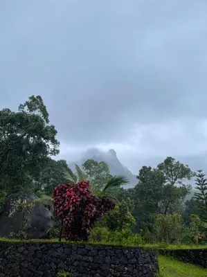 a view of a forest with a mountain in the background at Casa Riverdale Farm Stay in Vallikavungal