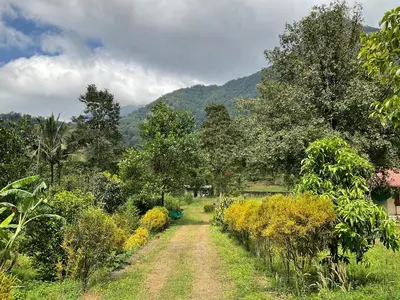 a dirt road in a field with trees at Casa Riverdale Farm Stay in Vallikavungal
