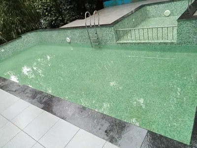 a swimming pool with green water and a swing at Misty Morning Resorts Wayanad in Ambalavayal