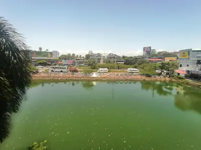 a large pond of green water in a city at Queens Residency in Trichūr
