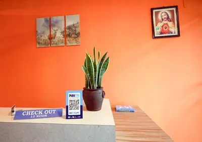 a potted plant sitting on top of a counter at Chakalakkal Residency in Sultan Bathery