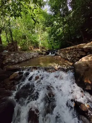 a stream of water with a stone wall and trees at Forest and River Edge Resort in Kannur