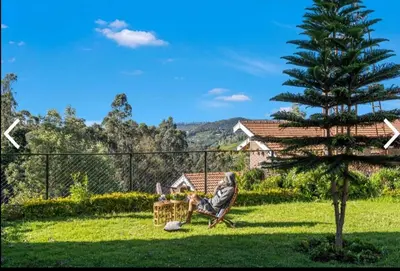 a person sitting in a chair in a yard at Mysterious mountain in Ooty