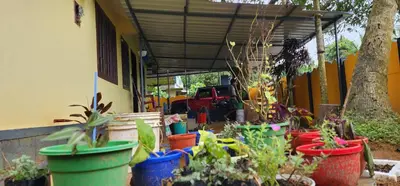 a group of potted plants in front of a building at JJ's Holiday Home in Thanniyam