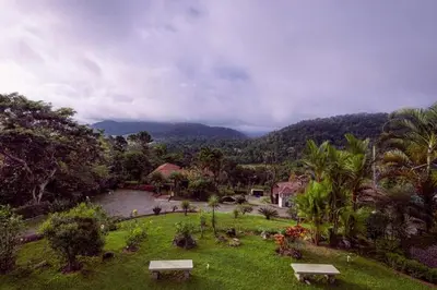 a park with benches in a field with a river at ama Stays & Trails Arcadia, Coorg in Madikeri