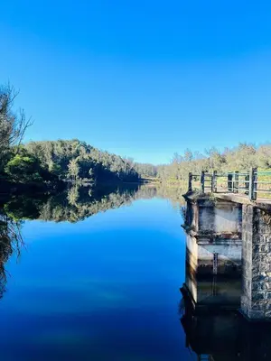 a bridge over a body of water at Forest Gate only family in Ooty