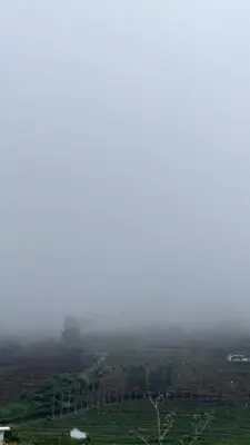 a view of a foggy field with trees in the distance at ATTUVAM VISTA in Kodaikānāl