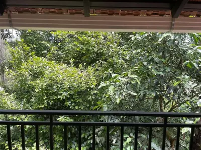 a view of a tree from a balcony at Deesha Homes in Wayanad