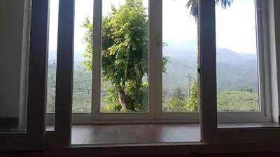 an open window with a view of a tree at Green Valley Holiday Home in Meppādi