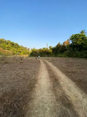 a dirt road in the middle of a field at FernHills Homestay in Madikeri