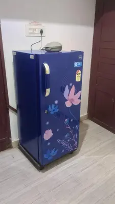 a blue refrigerator with flowers and butterflies on it at 3 bedroom country home with a lush full backyard in Trichūr