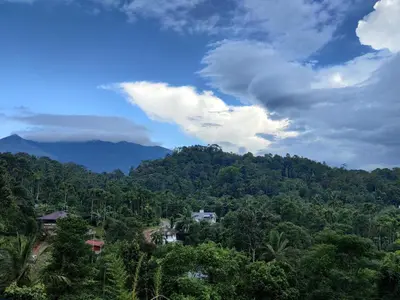 a view of a mountain with trees and a house at Raymond's Holiday Homes in Vythiri