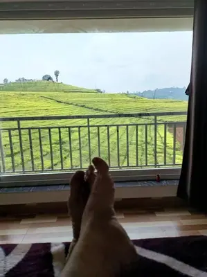 a persons feet on a window looking out at a field at Tea Estate view stay in Ooty
