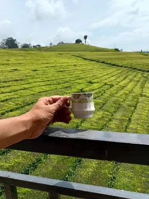 a person holding a cup of coffee on a bench at Tea Estate view stay in Ooty
