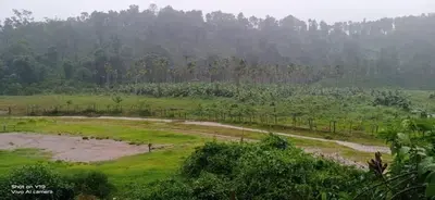 a field with a dirt road and trees in the background at Teaside Inns in Vythiri