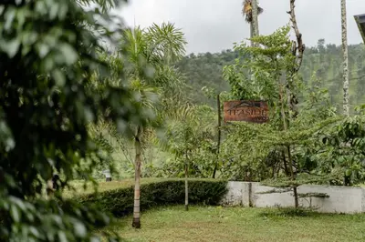 a sign in the middle of a field with trees at Teaside Inns in Vythiri