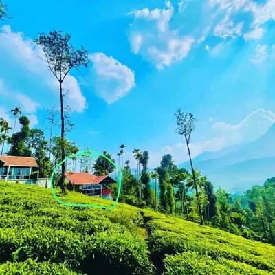 a house on a green hill with palm trees at Mayflower Holiday Villa in Meppādi