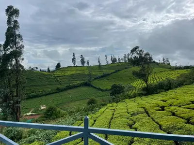 a view of a tea plantation with a cross at Orchard Valley View in Ooty