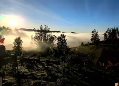 a foggy field with the sun in the background at Orchard Valley View in Ooty