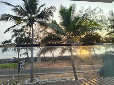 a view of the beach from a window with palm trees at ENOCEAN HOMESTAY in Cherai Beach