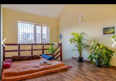 a bedroom with a large bed and two potted plants at MOUNTAIN OF MAGICS in Ooty