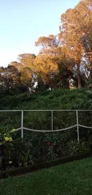 a fence in front of a hill with trees at Dew Drops Cottage Coonoor By Lexstays in Coonoor