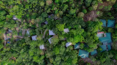 an overhead view of a forest with houses and trees at The Hive, Wayanad in Wayanad