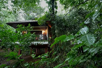a house in the middle of a forest at Coffee Acres Resort in Kalpetta