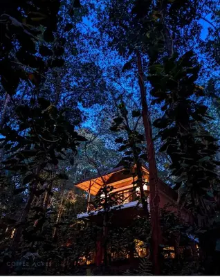 a tree house in the forest at night at Coffee Acres Resort in Kalpetta
