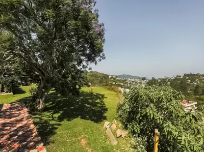 a tree in the middle of a green field at Belair Resorts in Kotagiri