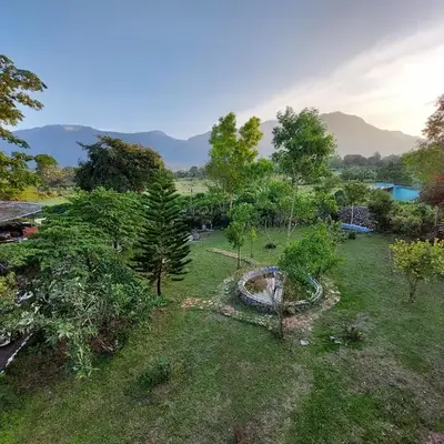 THE TIGER PAW RESORT
