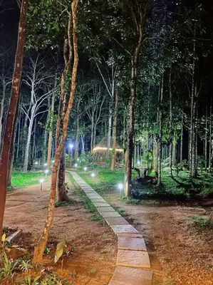 a path in a forest at night with lights at TreeSong Villa - Tranquil Forest Villa in Wayanad in Sultan Bathery