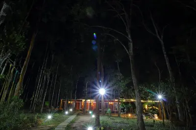 a house with lights in the woods at night at TreeSong Villa - Tranquil Forest Villa in Wayanad in Sultan Bathery