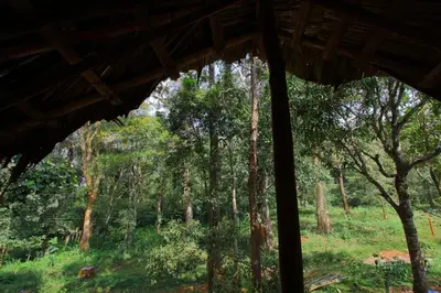 a view of a forest from a window at TreeSong Villa - Tranquil Forest Villa in Wayanad in Sultan Bathery