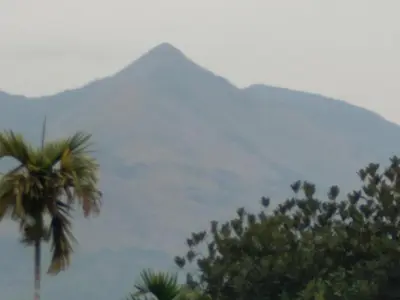 a mountain with a palm tree in front of the ocean at Homely Homestay in Kalpetta