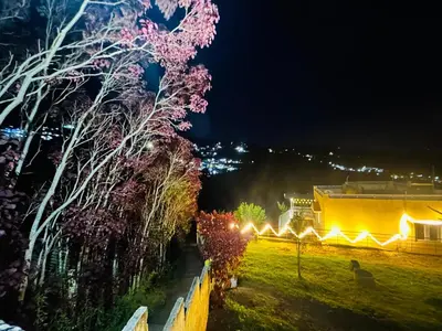 a night view of a building and trees with lights at Wander homes in Ooty