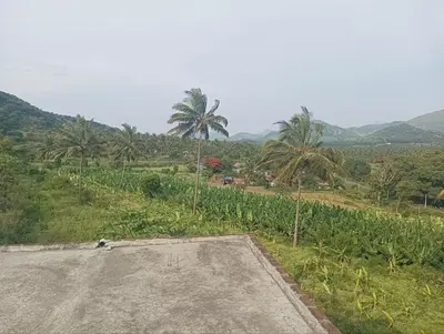 an empty parking lot in a field with palm trees at BHASURI VILLA Attappady in Varagampadi