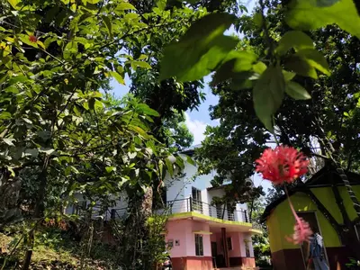 a house behind some trees with a red flower at Green Land Estate Homestay 5 Rooms With Garden View in Madikeri