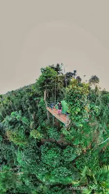 a person sitting on a bench on top of a hill at kaffee valley - Kurumbalakotta in Padinjarathara