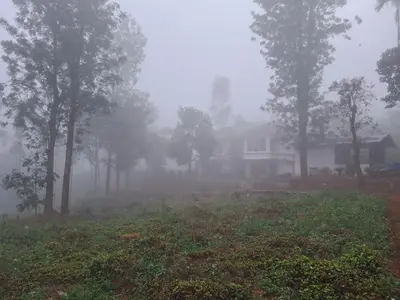 a foggy yard with a house and trees in the background at The Lavender Woods in Vythiri